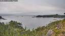 ./images/calvert/foggy-cove/20260814/foggy-cove20260814_161001M.jpg