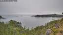 ./images/calvert/foggy-cove/20260814/foggy-cove20260814_162501M.jpg