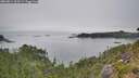 ./images/calvert/foggy-cove/20260814/foggy-cove20260814_163501M.jpg