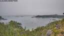 ./images/calvert/foggy-cove/20260814/foggy-cove20260814_182501M.jpg