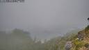 ./images/calvert/foggy-cove/20260814/foggy-cove20260814_193501M.jpg
