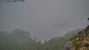 ./images/calvert/foggy-cove/20260815/foggy-cove20260815_061001M.jpg