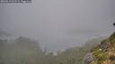 ./images/calvert/foggy-cove/20260815/foggy-cove20260815_062501M.jpg