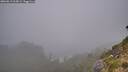 ./images/calvert/foggy-cove/20260815/foggy-cove20260815_065001M.jpg