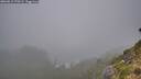 ./images/calvert/foggy-cove/20260815/foggy-cove20260815_070501M.jpg