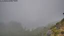 ./images/calvert/foggy-cove/20260815/foggy-cove20260815_071002M.jpg