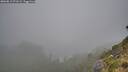 ./images/calvert/foggy-cove/20260815/foggy-cove20260815_071501M.jpg