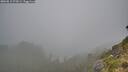 ./images/calvert/foggy-cove/20260815/foggy-cove20260815_072001M.jpg