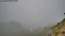 ./images/calvert/foggy-cove/20260815/foggy-cove20260815_072501M.jpg