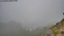 ./images/calvert/foggy-cove/20260815/foggy-cove20260815_073001M.jpg