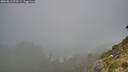 ./images/calvert/foggy-cove/20260815/foggy-cove20260815_073501M.jpg