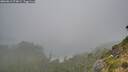 ./images/calvert/foggy-cove/20260815/foggy-cove20260815_074001M.jpg