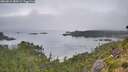 ./images/calvert/foggy-cove/20260815/foggy-cove20260815_080501M.jpg