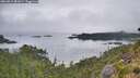 ./images/calvert/foggy-cove/20260815/foggy-cove20260815_081001M.jpg