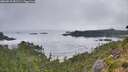 ./images/calvert/foggy-cove/20260815/foggy-cove20260815_081501M.jpg