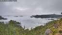 ./images/calvert/foggy-cove/20260815/foggy-cove20260815_082001M.jpg
