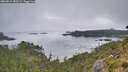 ./images/calvert/foggy-cove/20260815/foggy-cove20260815_082501M.jpg