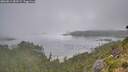 ./images/calvert/foggy-cove/20260815/foggy-cove20260815_083501M.jpg