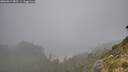 ./images/calvert/foggy-cove/20260815/foggy-cove20260815_085501M.jpg