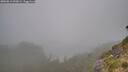 ./images/calvert/foggy-cove/20260815/foggy-cove20260815_090002M.jpg