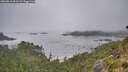 ./images/calvert/foggy-cove/20260815/foggy-cove20260815_091501M.jpg