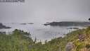 ./images/calvert/foggy-cove/20260815/foggy-cove20260815_092001M.jpg