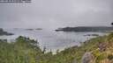 ./images/calvert/foggy-cove/20260815/foggy-cove20260815_092501M.jpg