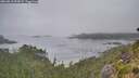 ./images/calvert/foggy-cove/20260815/foggy-cove20260815_093001M.jpg