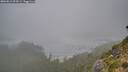 ./images/calvert/foggy-cove/20260815/foggy-cove20260815_094501M.jpg