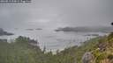 ./images/calvert/foggy-cove/20260815/foggy-cove20260815_095002M.jpg