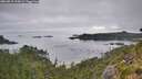 ./images/calvert/foggy-cove/20260815/foggy-cove20260815_100002M.jpg