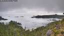 ./images/calvert/foggy-cove/20260815/foggy-cove20260815_102502M.jpg