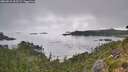 ./images/calvert/foggy-cove/20260815/foggy-cove20260815_103501M.jpg