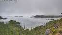./images/calvert/foggy-cove/20260815/foggy-cove20260815_105002M.jpg