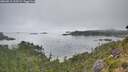 ./images/calvert/foggy-cove/20260815/foggy-cove20260815_105501M.jpg