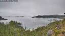 ./images/calvert/foggy-cove/20260815/foggy-cove20260815_110501M.jpg
