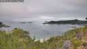 ./images/calvert/foggy-cove/20260815/foggy-cove20260815_112501M.jpg