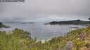 ./images/calvert/foggy-cove/20260815/foggy-cove20260815_113002M.jpg