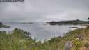 ./images/calvert/foggy-cove/20260815/foggy-cove20260815_114002M.jpg