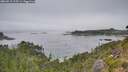 ./images/calvert/foggy-cove/20260815/foggy-cove20260815_115501M.jpg