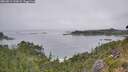 ./images/calvert/foggy-cove/20260815/foggy-cove20260815_122002M.jpg
