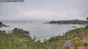 ./images/calvert/foggy-cove/20260815/foggy-cove20260815_123501M.jpg