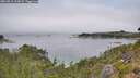 ./images/calvert/foggy-cove/20260815/foggy-cove20260815_124501M.jpg