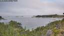./images/calvert/foggy-cove/20260815/foggy-cove20260815_125501M.jpg