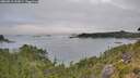 ./images/calvert/foggy-cove/20260815/foggy-cove20260815_133001M.jpg