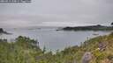 ./images/calvert/foggy-cove/20260815/foggy-cove20260815_134001M.jpg