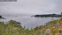 ./images/calvert/foggy-cove/20260815/foggy-cove20260815_140501M.jpg