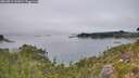 ./images/calvert/foggy-cove/20260815/foggy-cove20260815_141001M.jpg