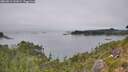./images/calvert/foggy-cove/20260815/foggy-cove20260815_142001M.jpg