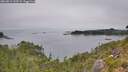 ./images/calvert/foggy-cove/20260815/foggy-cove20260815_143501M.jpg
